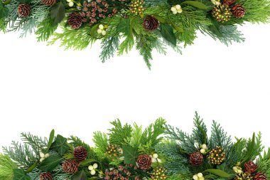 Geleneksel kış yeşillik arkaplan sınırı sedir ağacı köknar yaprakları, ökseotu, beyaz üzerine sarmaşık ve çam kozalakları. Noel ve Yeni Yıl için kompozisyon. Düz konum, üst görünüm, kopyalama alanı.