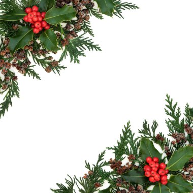 Kış meyvesi çobanpüskülü, sedir selvisi ve çam kozalakları ile Noel sınırı. Beyaz arka planda yeni yıl için doğal bitki örtüsü. Düz konum, üst görünüm, kopyalama alanı.