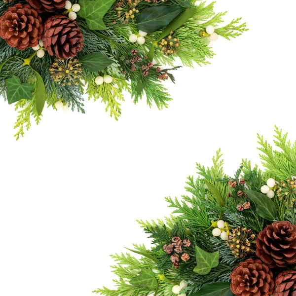 冬とクリスマスの緑の背景は 白い背景に杉のヒノキのモミの葉 ミステリー 松コーン ツタとの境界線 クリスマス 新年のための自然な花の組成 コピースペース — ストック写真