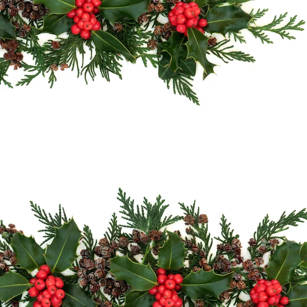 Winter Kerst Achtergrond Grens Met Hulst Ceder Cipres Bladeren Klimop — Stockfoto