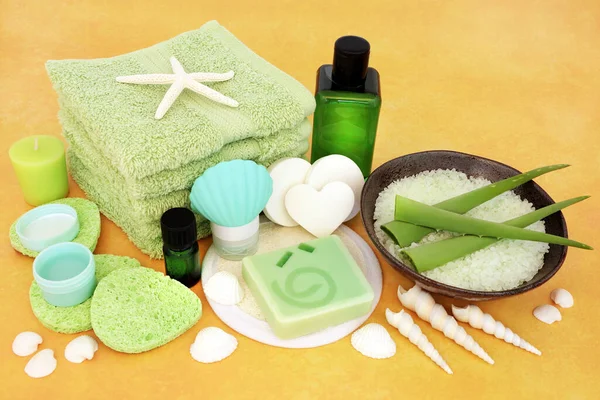 Natural Skincare Beauty Treatment Ageing Aloe Vera Foliation Moisturiser Aromatherapy — Stock Photo, Image