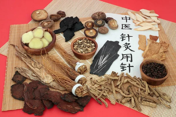 Chinesische Kräuterauslese Die Als Stärkungsmittel Mit Akupunkturnadeln Und Kalligraphie Auf — Stockfoto