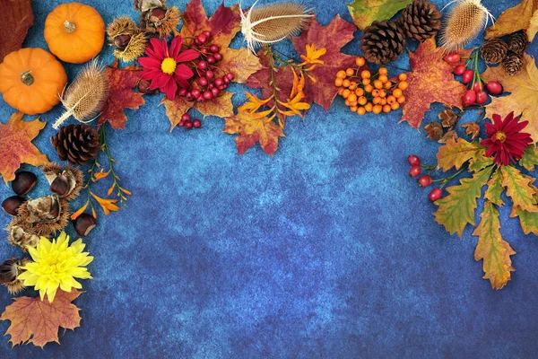 Hintergrund Des Herbsterntefestes Mit Essen Flora Und Fauna Auf Blau — Stockfoto