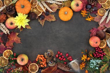 Autumn nature study background border composition with food, flora and fauna on lokta background. Harvest festival theme. Top view. clipart