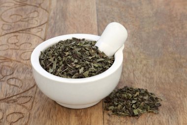 Bitkisel ilaçlarda kusan kanı, idrarda kanı, adet öncesi krampları, cilt rahatsızlıklarını ve göz tahrişlerini tedavi etmek için kullanılan havan yaprağındaki bitki yaprağı. Bitki lanceloata.