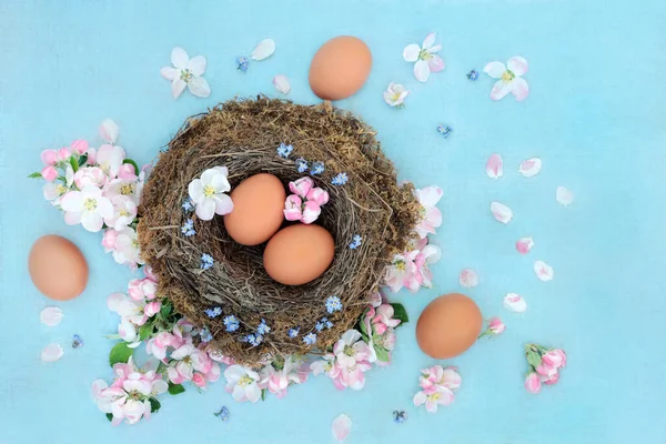 Spring Time Rebirth Renewal Concept Fresh Brown Eggs Birds Nest — Stock Photo, Image