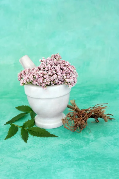 Flores Raízes Ervas Valerianas Uma Argamassa Usada Como Tranquilizante Fitoterapia — Fotografia de Stock