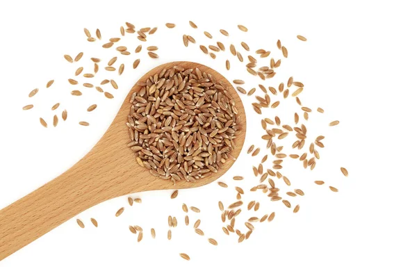 Gesundes Bio Emmer Weizenkorn Einem Holzlöffel Auf Weißem Hintergrund Hoch — Stockfoto
