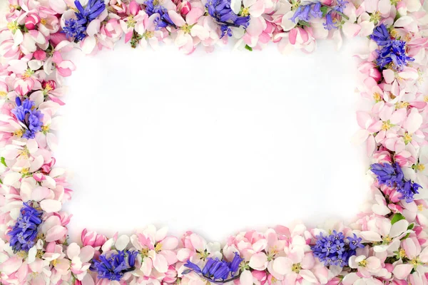 Bluebell Apple Blossom Flower Border White Background Copy Space — Stock Photo, Image