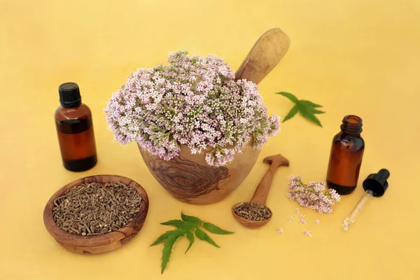 Valeriana Ört Blommor Och Torkade Rot Med Medicin Och Dropper — Stockfoto