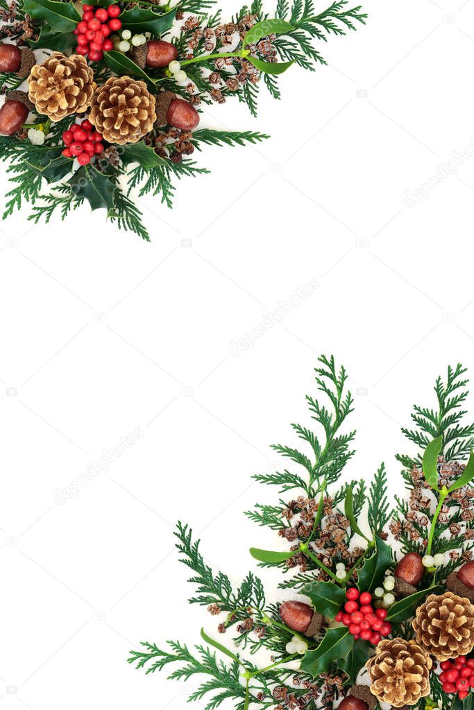 Festive Christmas border with gold pine cones & winter flora of holly, mistletoe, acorns & cedar cypress on white background. Xmas and New Year decorative display. Flat lay, top view, copy space.