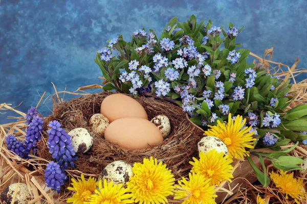春天的时候 在天然的鸟巢里 用褐色和鹌鹑的蛋 用忘了我的鼻子 葡萄干和蒲公英的花朵 进行抽象的构图 在斑驳的蓝色背景 — 图库照片