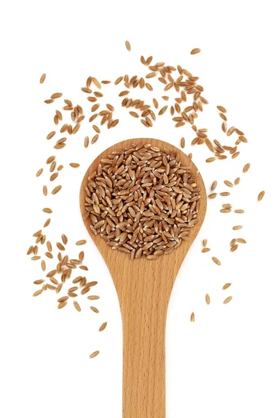 在白色背景的木制勺子里放着健康的麦片 抗氧化剂含量高 营养丰富 早熟优质春小麦 平躺在地上 俯瞰四周 — 图库照片