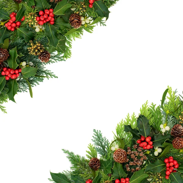 Natürliches Weihnachts Winter Neujahrsgrün Mit Stechpalme Efeu Mistel Zedernholz Zypressenblättern — Stockfoto