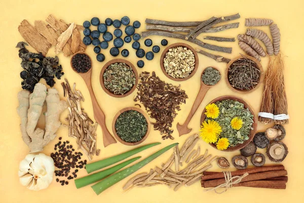 Adaptojen Bitki Baharat Sağlıklı Yiyecek Seçimi Doğal Bitkisel Gıdalar Vücudun — Stok fotoğraf