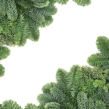 Noel ve Yeni Yıl için ladin köknar kışı yeşillik sınırı. Beyaz arka planda minimalist kompozisyon. Üst görünüm, düz görünüm, kopyalama alanı.