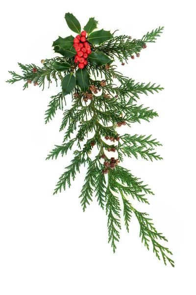 装饰冬季圣诞和新年展示与杉木柏树叶和冬青与红色浆果的白色背景 节日期间的天然绿色元素 平面布局 顶视图 复制空间 — 图库照片