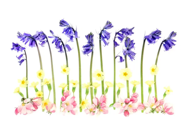 Abstract Spring Wildflower Composition Apple Blossom Bluebells Primroses Line White — Stock Photo, Image