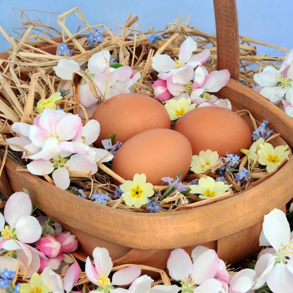 Eggs Straw Easter Old Basket Spring Apple Blossom Primroses Forget — Stock Photo, Image