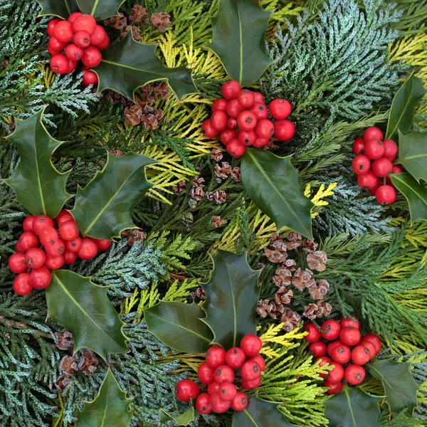 Natürlicher Hintergrund Mit Winter Stechpalme Nadelholz Zypressenblättern Mit Kleinen Tannenzapfen — Stockfoto