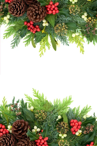 Traditional Christmas Winter New Year Background Border Holly Ivy Mistletoe — Stock Photo, Image