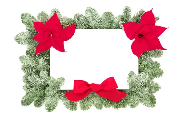 Hálaadás Karácsony Szilveszter Határ Kompozíció Poinsettia Virágok Piros Borított Fenyő — Stock Fotó