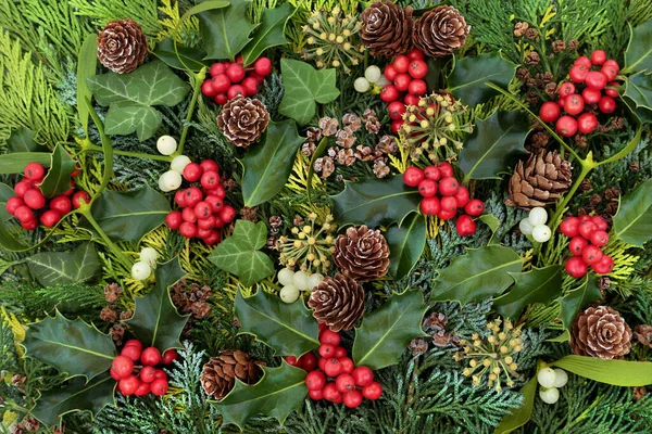 Traditioneller Winterhintergrund Aus Stechpalme Mistel Efeu Tannenzapfen Und Immergrünen Zedernzypressenblättern — Stockfoto