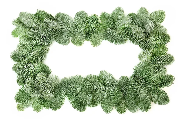 Snow Covered Spruce Pine Fir Background Border White Decorative Element — Stock Photo, Image