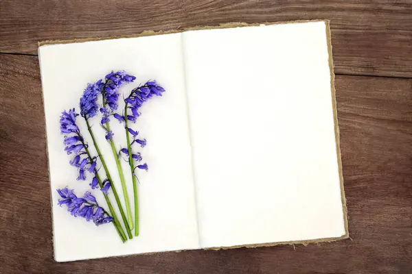 Bluebell Flores Caderno Cânhamo Velho Sobre Fundo Madeira Rústica Estudo — Fotografia de Stock