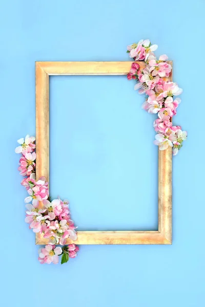 Almavirág Virág Tavasz Háttér Arany Keret Kék Virágos Természet Szezonális Stock Kép
