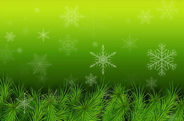 Christmas Green Background Fir Branches Snowflakes — Stock Vector