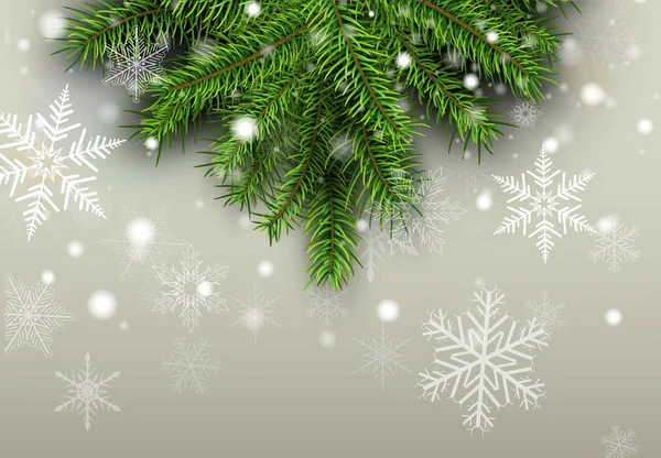 Fondo Navidad Con Ramas Abeto Copos Nieve — Vector de stock