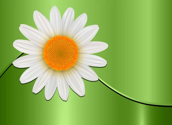 Πράσινο φόντο λουλουδιών — Διανυσματικό Αρχείο