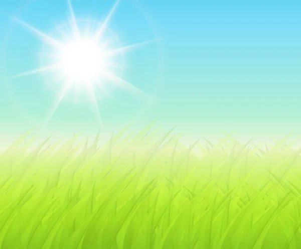 日当たりの良い緑の背景 — ストックベクタ
