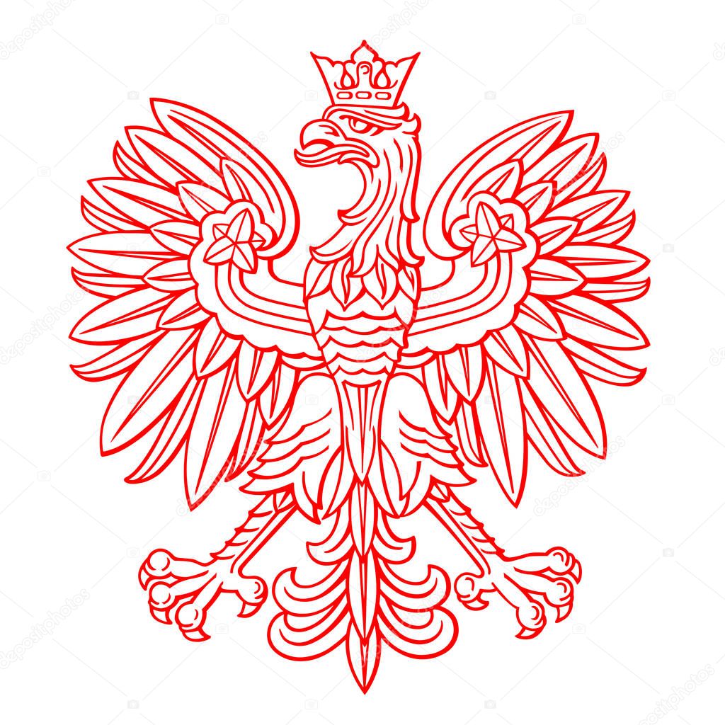 Poland eagle on white background