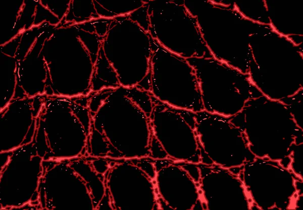 Абстрактний Червоний Фон Цікавий Візерунок Структури Чорному Рідкому Веб Векторні — стоковий вектор