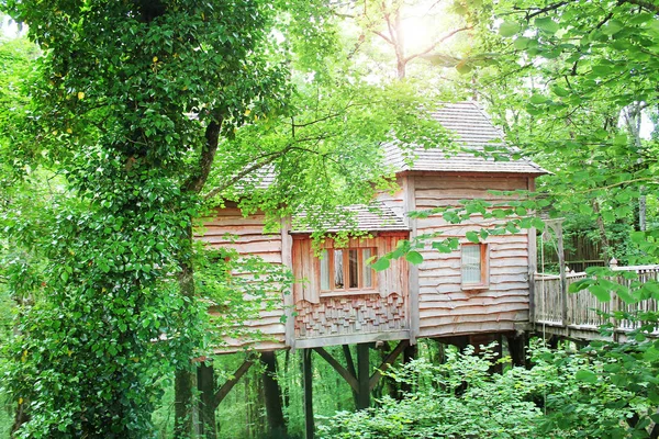 Krásný Dřevěný Dům Vrcholu Stromu — Stock fotografie