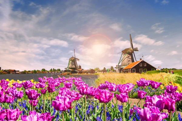 Bild Väderkvarn Holland Med Blå Himmel — Stockfoto