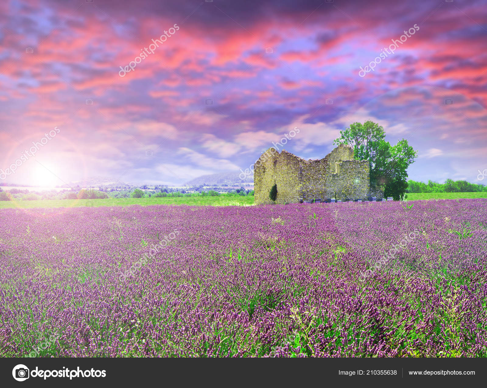 Casa Rústica Com Campo Lavanda Pôr Sol — Foto © lsantilli #210355638, image size:1600x1274