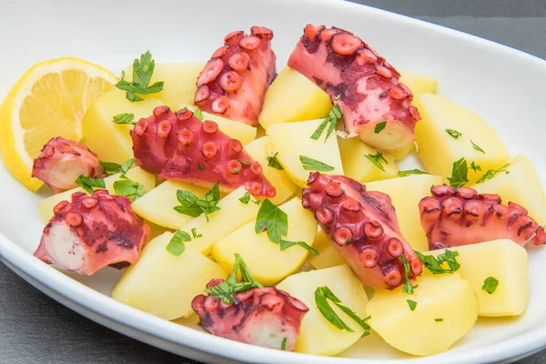 Läcker Tallrik Bläckfisk Sallad Med Potatis — Stockfoto