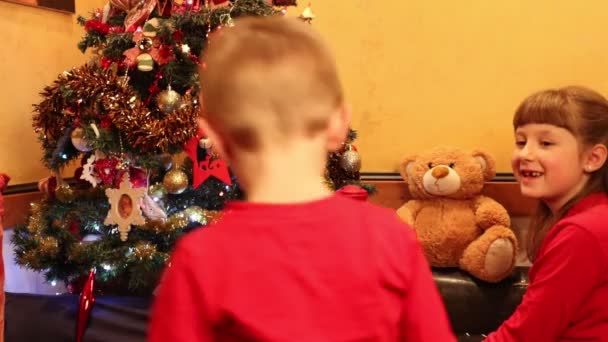 Little Girl Arranges Christmas Tree — Stock Video