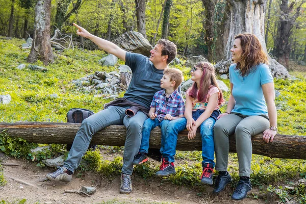 Gelukkige familie zitten op de romp van een boom in een bos — Stockfoto
