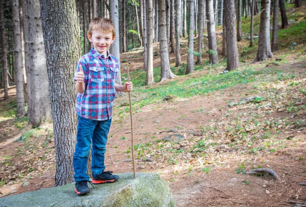 Niño con palo de madera de pie sobre una roca en un bosque —  Fotos de Stock