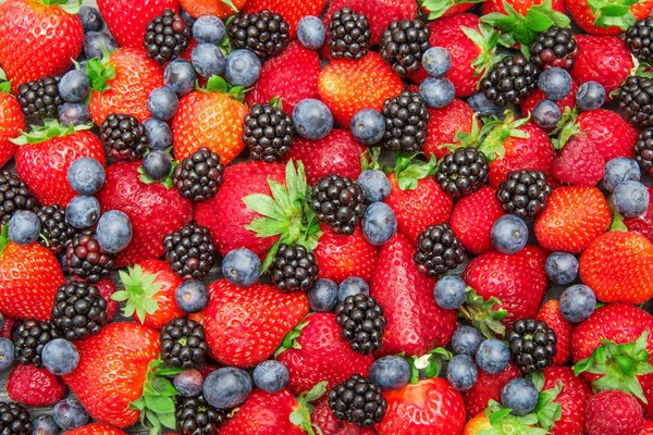 Group of fresh and colored berry — Stock Photo, Image