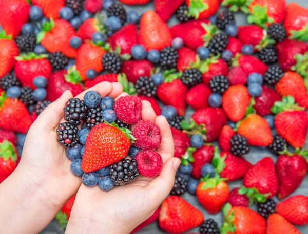 Woman's hand holding delicious berry — Stock Photo, Image