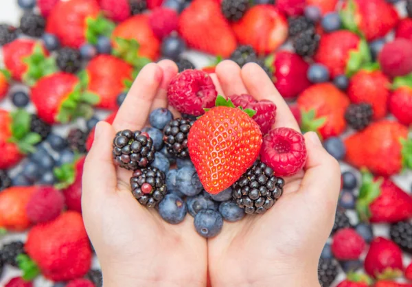 Woman's hand holding delicious berry — Stock Photo, Image