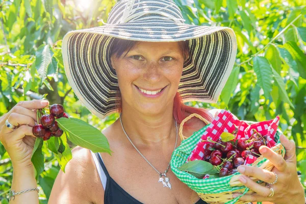 Portret szczęśliwej młodej kobiety ogrodnik zbieranie słodkiej wiśni z — Zdjęcie stockowe