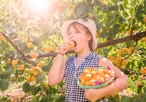 Pretty, young girl is eating apricots in a summer beautiful day — Stock Photo, Image