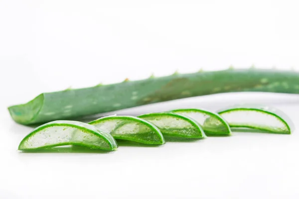 Slice Aloe Vera a very useful herbal medicine for skin care and — Stock Photo, Image
