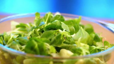 Yeşil yapraklı ve sebzeli yeşil vejetaryen salatası